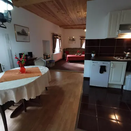Appart hôtel Zidovna